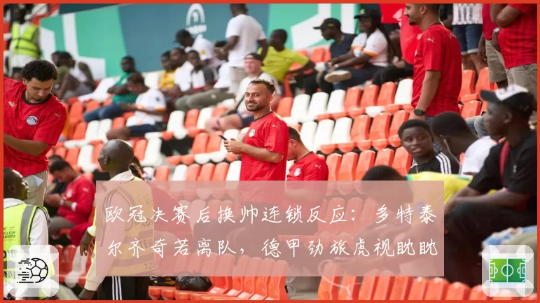 欧冠决赛后换帅连锁反应：多特泰尔齐奇若离队，德甲劲旅虎视眈眈