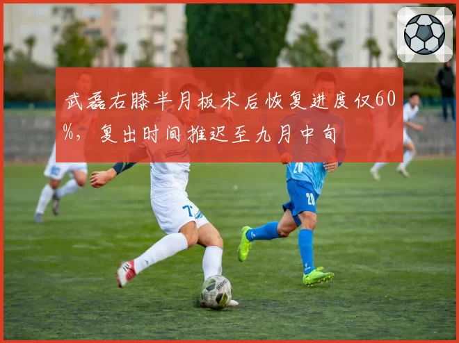 武磊右膝半月板术后恢复进度仅60%，复出时间推迟至九月中旬