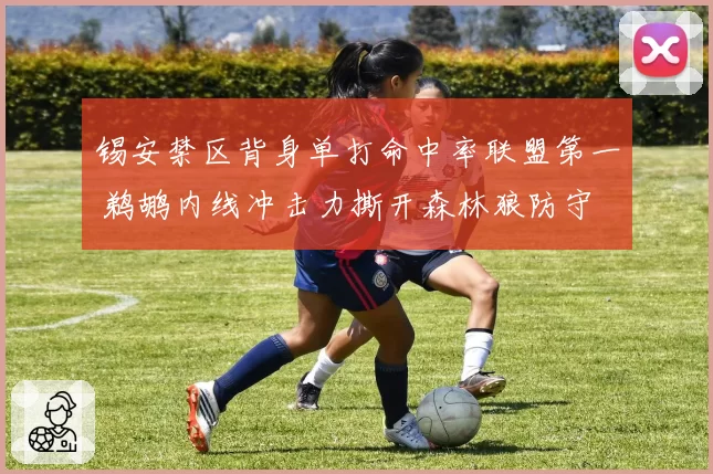 锡安禁区背身单打命中率联盟第一 鹈鹕内线冲击力撕开森林狼防守